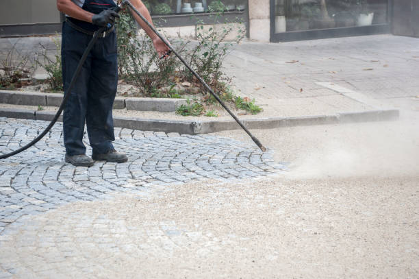 Best Rust Removal  in Locust Valley, NY