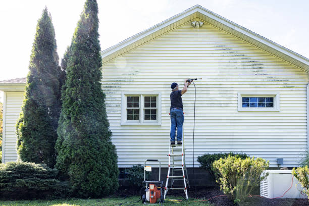 Best Building Exterior Washing  in Locust Valley, NY